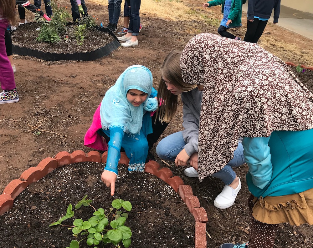 The Garden Project and Sisterhood at SFC